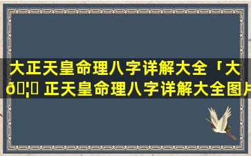 大正天皇命理八字详解大全「大 🦆 正天皇命理八字详解大全图片」